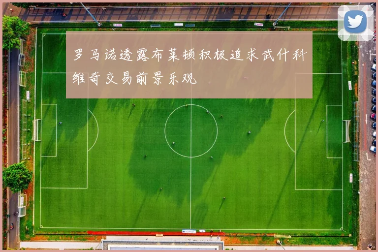 罗马诺透露布莱顿积极追求武什科维奇交易前景乐观